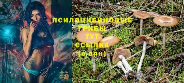 Альфа ПВП Надым