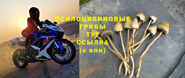 гидра Покров
